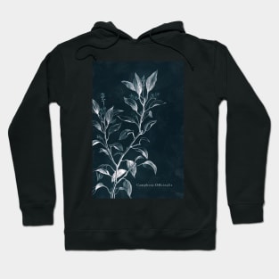 Cyanotype - Camphora Officinalis - C Hoodie